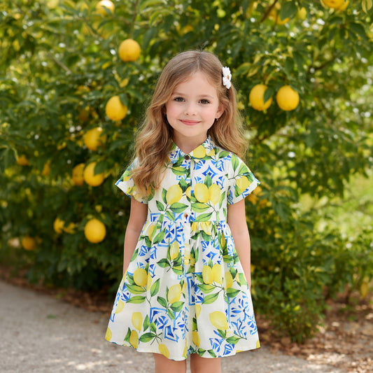 Ndimu kids dress